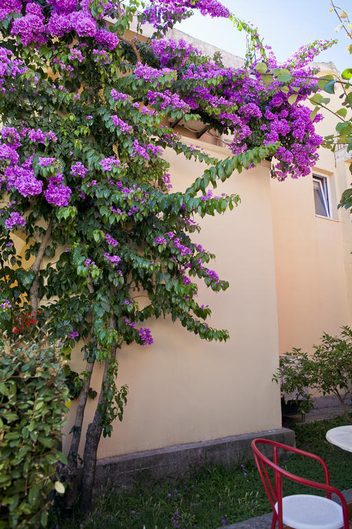 Apartments Angela Budva Extérieur photo