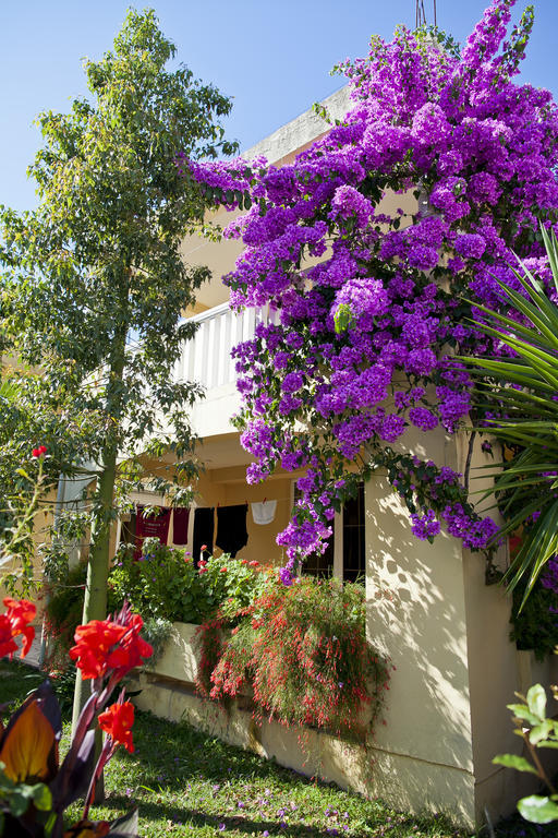 Apartments Angela Budva Extérieur photo